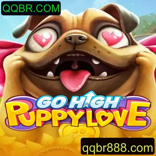 GoHighPuppyLove: Um Mergulho no Mundo do Amor Canino com QQBR.COM